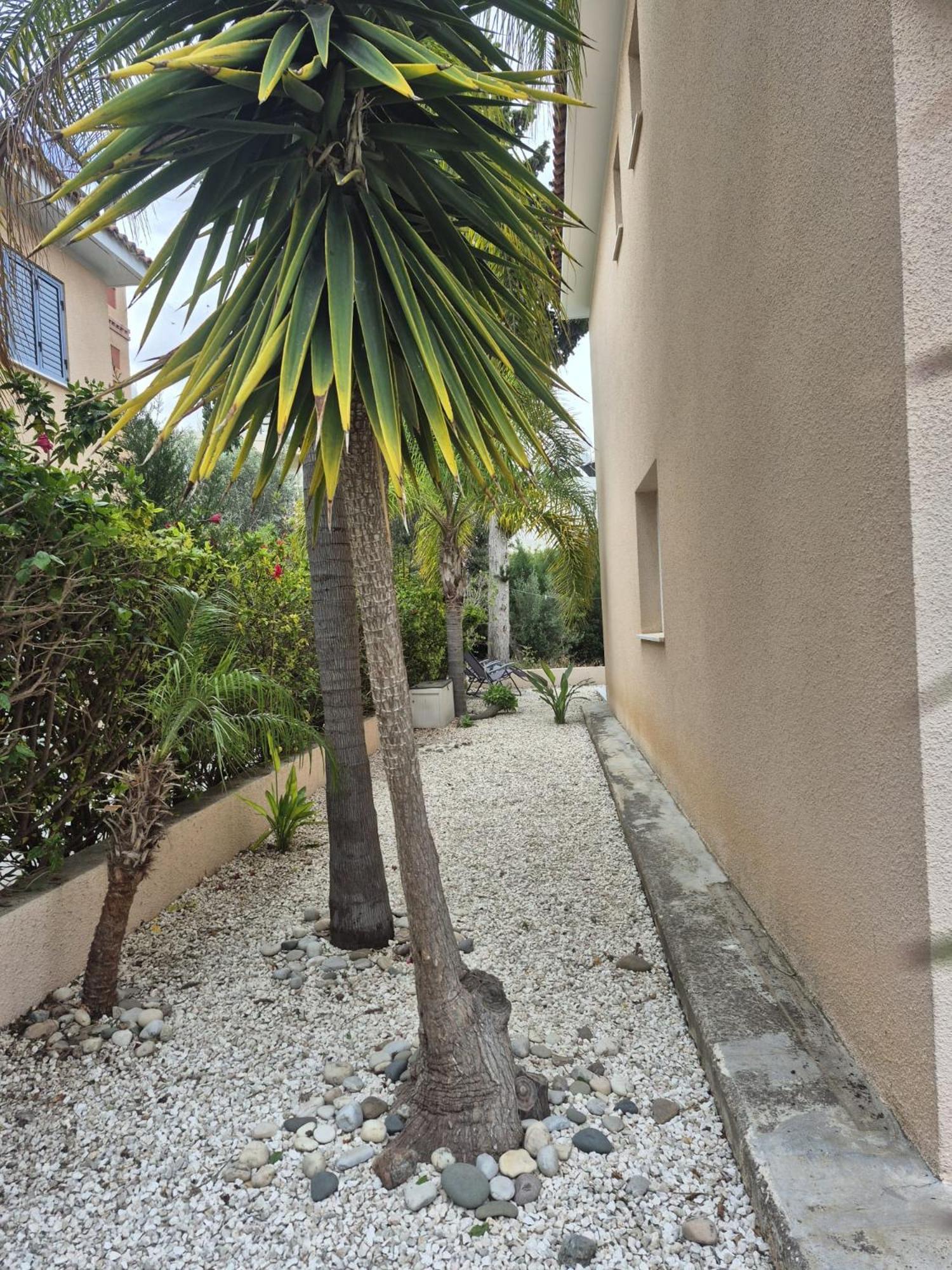 Casa Del Sol Townhouse In Iris Village Paphos Luaran gambar